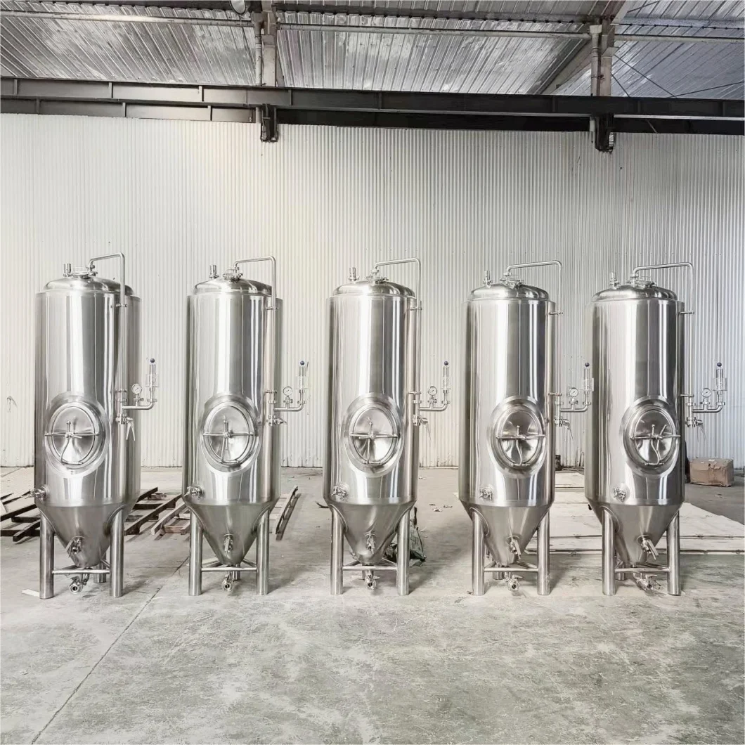 500L CCT Fermentation Tank Craft Beer Equipment Made in China